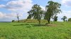Перспективная ООПТ Курган Солнечный