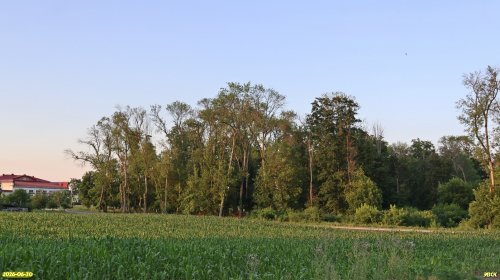 Перспективная ООПТ Северокубанский лесопарк 