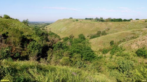 Перспективная ООПТ Бирючья балка 