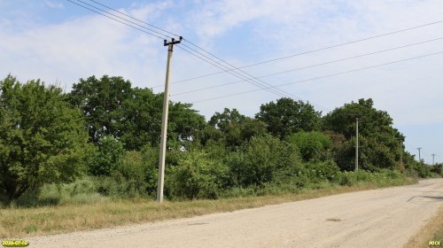 Перспективная ООПТ Западно-Абинская роща