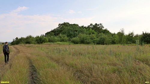 Перспективная ООПТ Курган Мемориальный 
