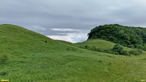 Перспективная ООПТ Гора Кучерявая