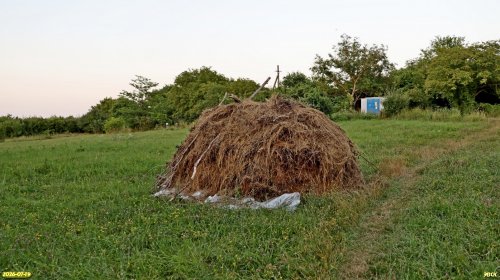 Окраина перспективной ООПТ Лузанкин лес