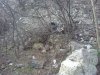 Левый берег ручья в феврале 2018 года