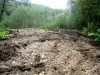 Развороченный бульдозерами участок водоохранной зоны реки Цице