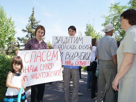 В Белой Калитве депутат городского собрания вырубает сквер под строительство рынка