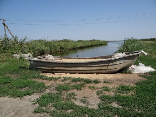 Лодка с кормом для прудовой рыбы