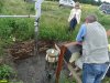 Общественная инспекция свинокомплекса "Киево-Жураки"