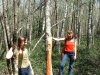 Мезмай - вырубки