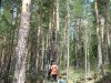 Мезмай - вырубки