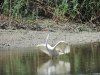 (2014.07.16) Сброс воды в низовьях Бейсуга