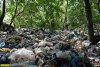 Замусоренная лесополоса за территорией мусорного полигона