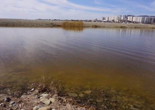 Весной 2020 года сообщение Суджукской лагуны с морем нарушилось, и она стала превращаться в болото