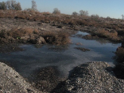 Инспекция косы Чушка активистами Экологической вахты через год после керченской катастрофы