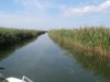 ТЕНДЕР НА ОБСЛЕДОВАНИЕ ВОДНО-БОЛОТНЫХ УГОДИЙ В ДЕЛЬТЕ КУБАНИ ВЫИГРАЛА ДОРОЖНО-СТРОИТЕЛЬНАЯ КОМПАНИЯ