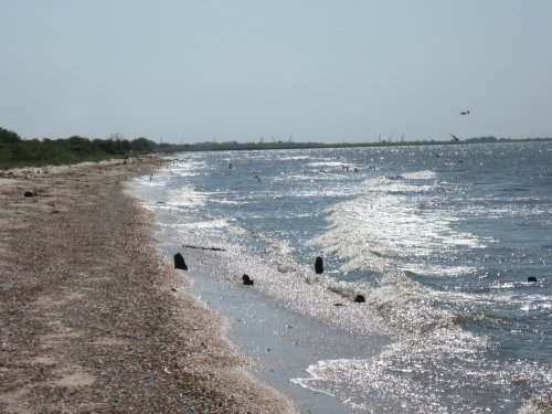 Побережье Азовского моря