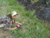 Лягушки спасаются от пала