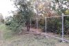 Вырубка лесопосадки по ул. Мечникова в пос. Березовый (Краснодар)
