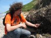 На берегу в районе поселка Приазовский обнаружены кучи пропитанных мазутом водорослей