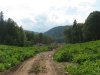 Трасса дороги проложена к самой границе Кавказского заповедник