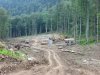 В 200 метрах от границ заповедника ведется строительство водопропуского сооружения