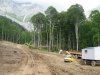 Зона дорожно-строительных работ в долине ручья Водопадистый