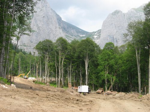 Зона дорожно-строительных работы в долине ручья Водопадистый