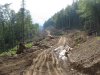 Трасса дороги страшным шрамом прорезает еще недавно девственный лес