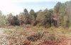 Кампания за соблюдение экологических требований при реализации проекта "Голубой Поток"