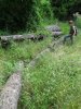 Инспекция парубки сосны пицундской в районе урочища Молоканова щель