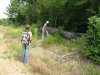 Инспекция парубки сосны пицундской в районе урочища Молоканова щель