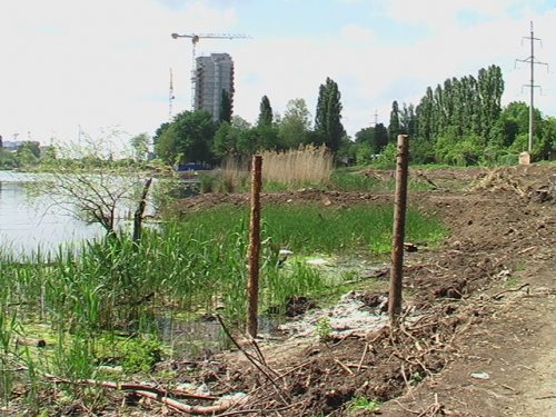 Не так давно этот оголенный берег был частью зеленой зоны города