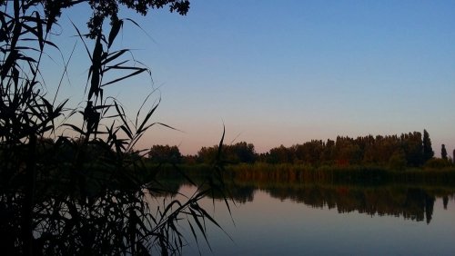 Большой остров на озере Старая Кубань в Краснодаре