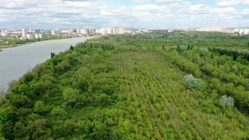 ООПТ местного значения "Большой остров" (г.Краснодар)