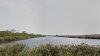 Река Балка Синюха в Курганинском районе