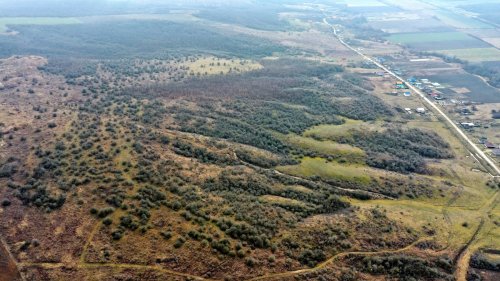Территория потенциальной ООПТ Колонская лесостепь (Крымский район)