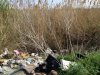 ТБО в лесопарке "Агролес" г.Новочеркасска
