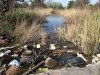 ТБО в лесопарке "Агролес" г.Новочеркасска