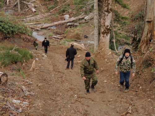 Активисты "Экологической Вахты" вместе с сотрудниками прокуратуры и милиции инспектируют места рубок леса