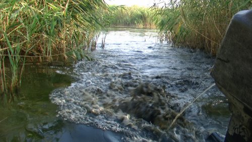 Сильно заиленная вода в канале