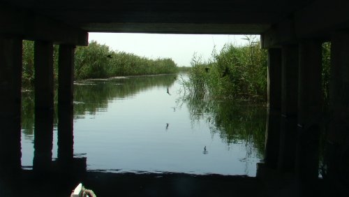 Под мостом через канал