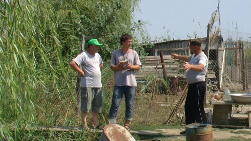 В фермерском хозяйстве