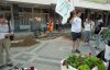 Пикет в защиту зелёных насаждений в Краснодаре