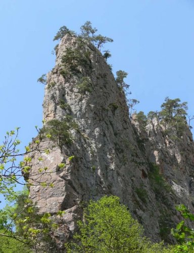 Скала в урочище Мешок