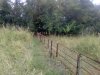 Забор ограждает земли, используемые ООО "Племзавод "Дружба"