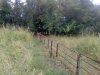 Забор ограждает земли, используемые ООО "Племзавод "Дружба"